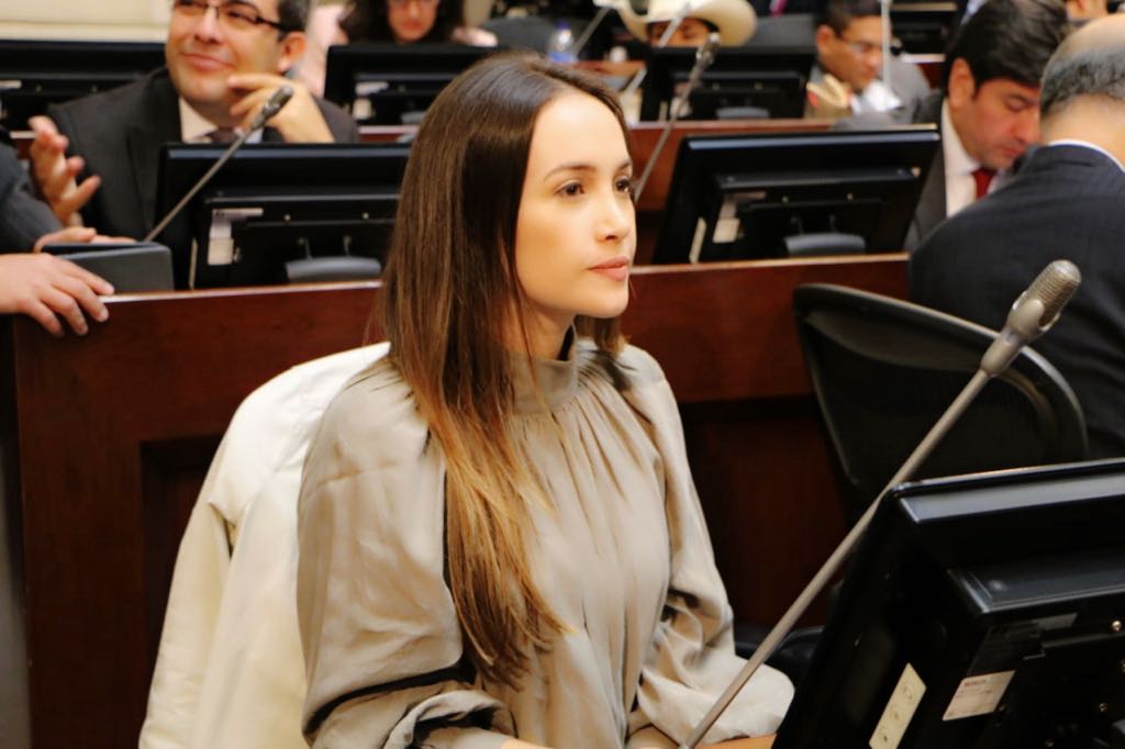 Senadora Ana María Castañeda alerta sobre carencia de presupuesto para mujeres