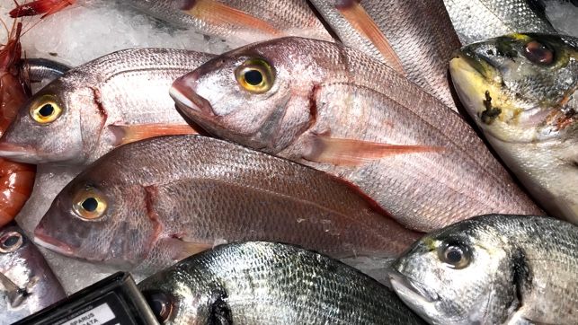 ICA confirma importación de 400 mil dosis de vacuna para tilapia con el fin de enfrentar bacteria en peces de cultivo