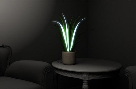 Plantas que iluminan como lámparas