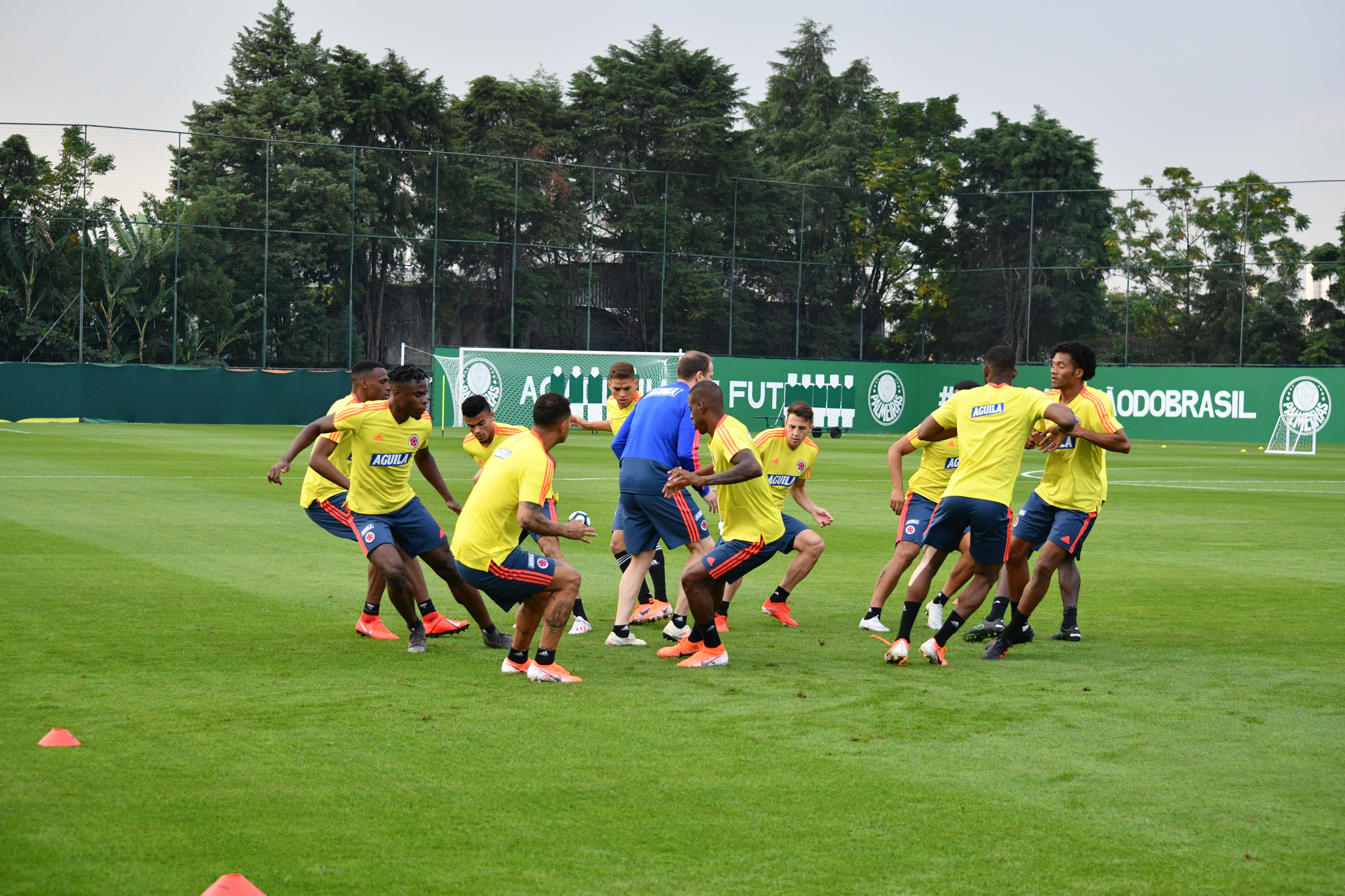 Selección Colombia prepara su partido frente a Catar