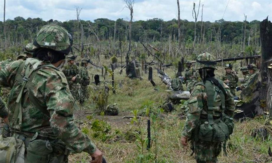 Positivos resultados de la Campaña ‘Artemisa’ para proteger el patrimonio ambiental de Colombia