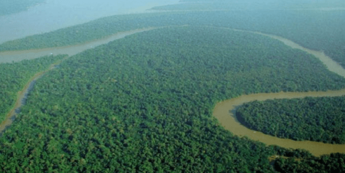 #ReinoUnido anunció fondos por $288 mil millones para apoyar protección del #BosqueAmazónico y los #BosquesTropicales de #Colombia