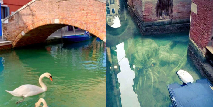 Las fotos falsas de los cisnes y los delfines en #Venecia