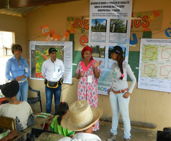 AGROSAVIA resalta los logros obtenidos por su primera tesista perteneciente al pueblo originario Wayú
