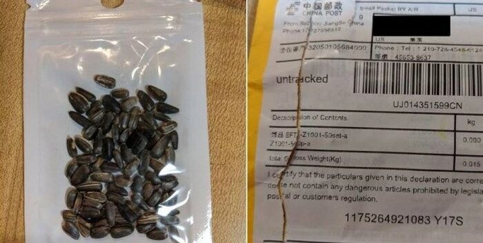 #Florida alerta sobre misteriosos paquetes de semillas provenientes de China