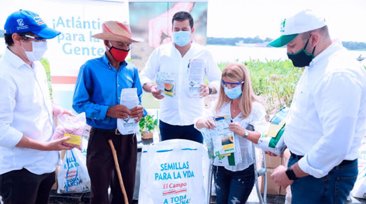 Entregan kits de siembra con semillas certificadas en 18 municipios del Atlántico