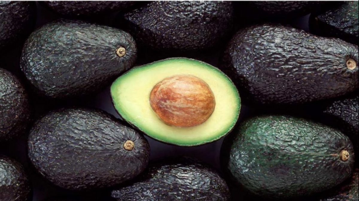 Colombia Avocado Board promocionará el aguacate hass en Estados Unidos