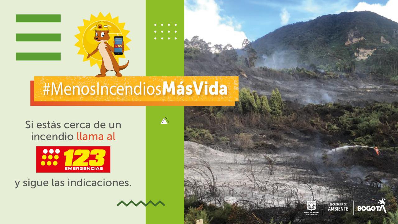 La secretaria de Ambiente de Bogotá invita a evitar prácticas que generen incendios forestales en invita a evitar prácticas que generen incendios forestales