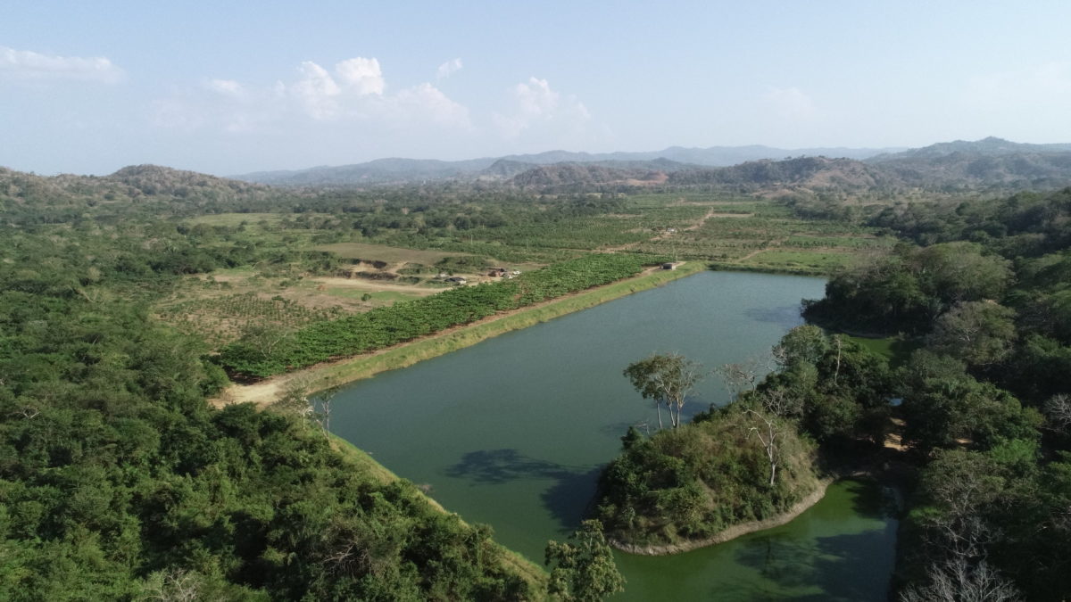 El vivero ‘Río Dulce’, donde crecen los sueños de una biodiverciudad en Barranquilla