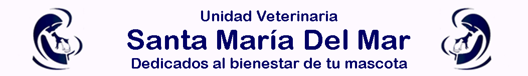 veterinaria-1053x153