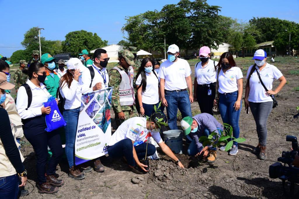 Air-e donó 1.337 árboles para jornada de siembra en el Batallón del Ejército en Malambo – @Aire_Energia