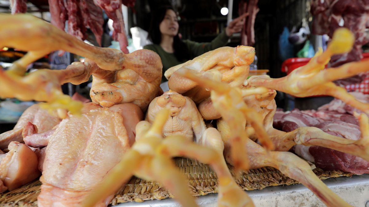 China detectó el primer caso de gripe aviar H10N3 en humanos