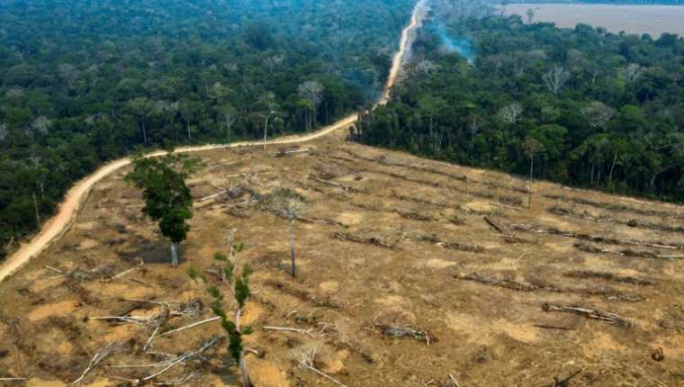 En los últimos 15 años Brasil registra deforestación récord en la Amazonia