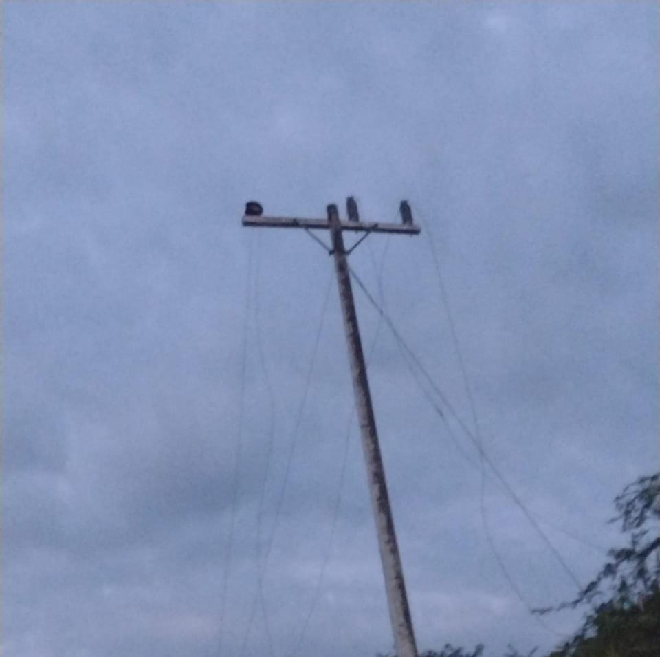 Nuevo robo de cables eléctricos en zona rural de Campeche – @aire_energia