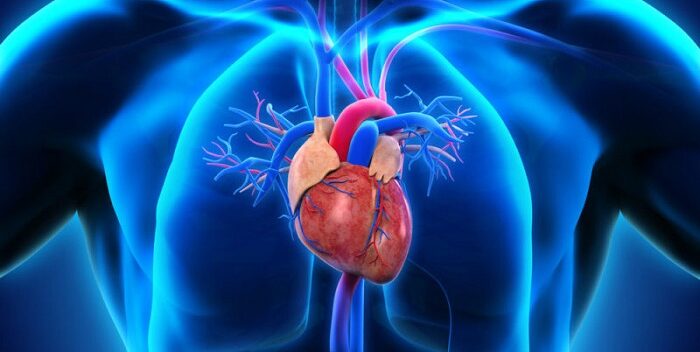Conozca algunos síntomas de un corazón enfermo #Salud