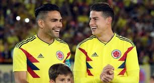 Sin Falcao, Colombia jugará últimas eliminatorias contra Bolivia y Venezuela
