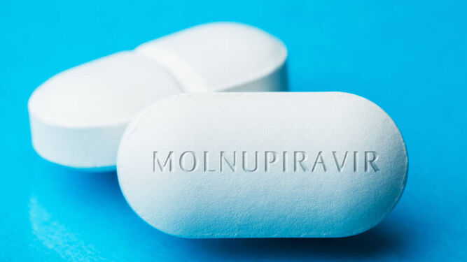 OMS da luz verde al antiviral ’Molnupiravir’ como tratamiento para COVID-19