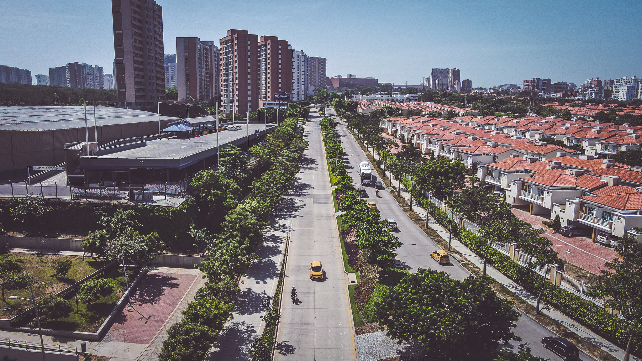 Barranquilla, más verde que nunca: serán sembrados 8 mil árboles en 2023