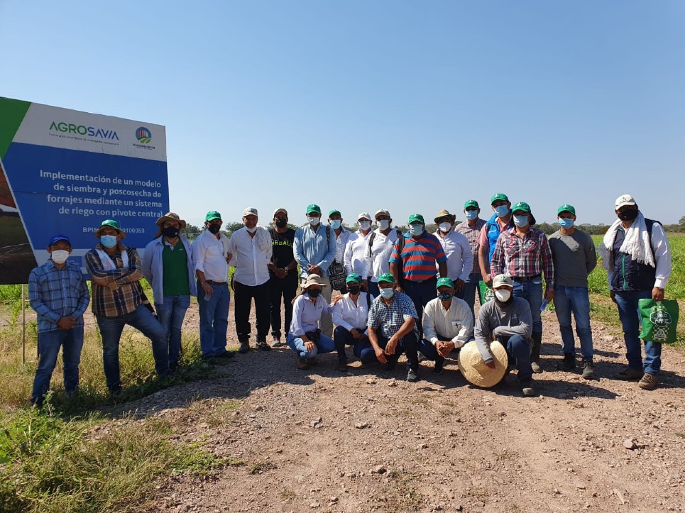 AGROSAVIA transfiere tecnología de riego con pivote a FEDEARROZ y agricultores de la región