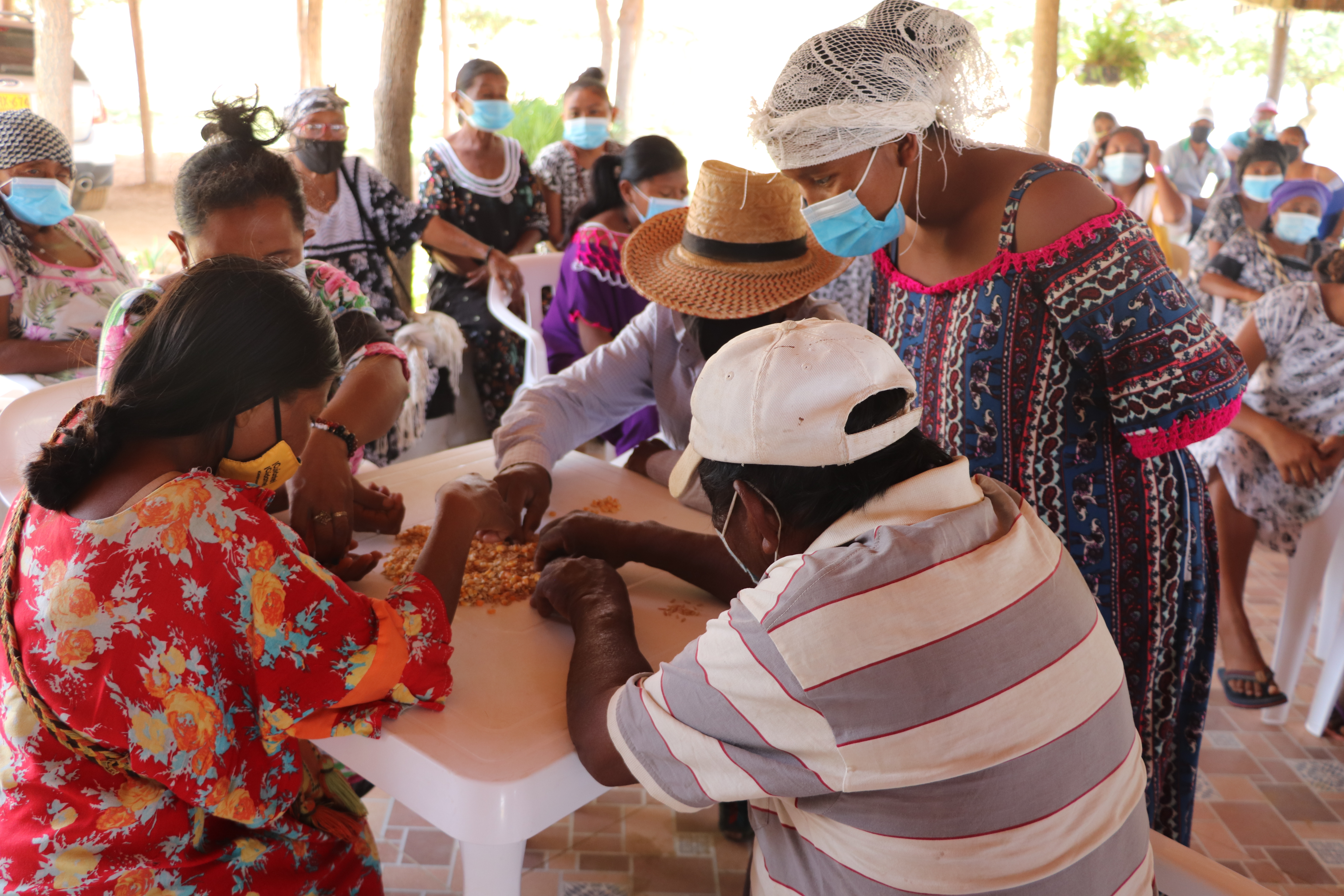 AGROSAVIA identifica técnicas locales para la conservación de semilla en La Guajira