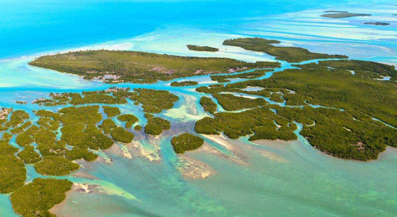 Muere una mujer de 74 años que hacía snorkel en los Cayos de Florida