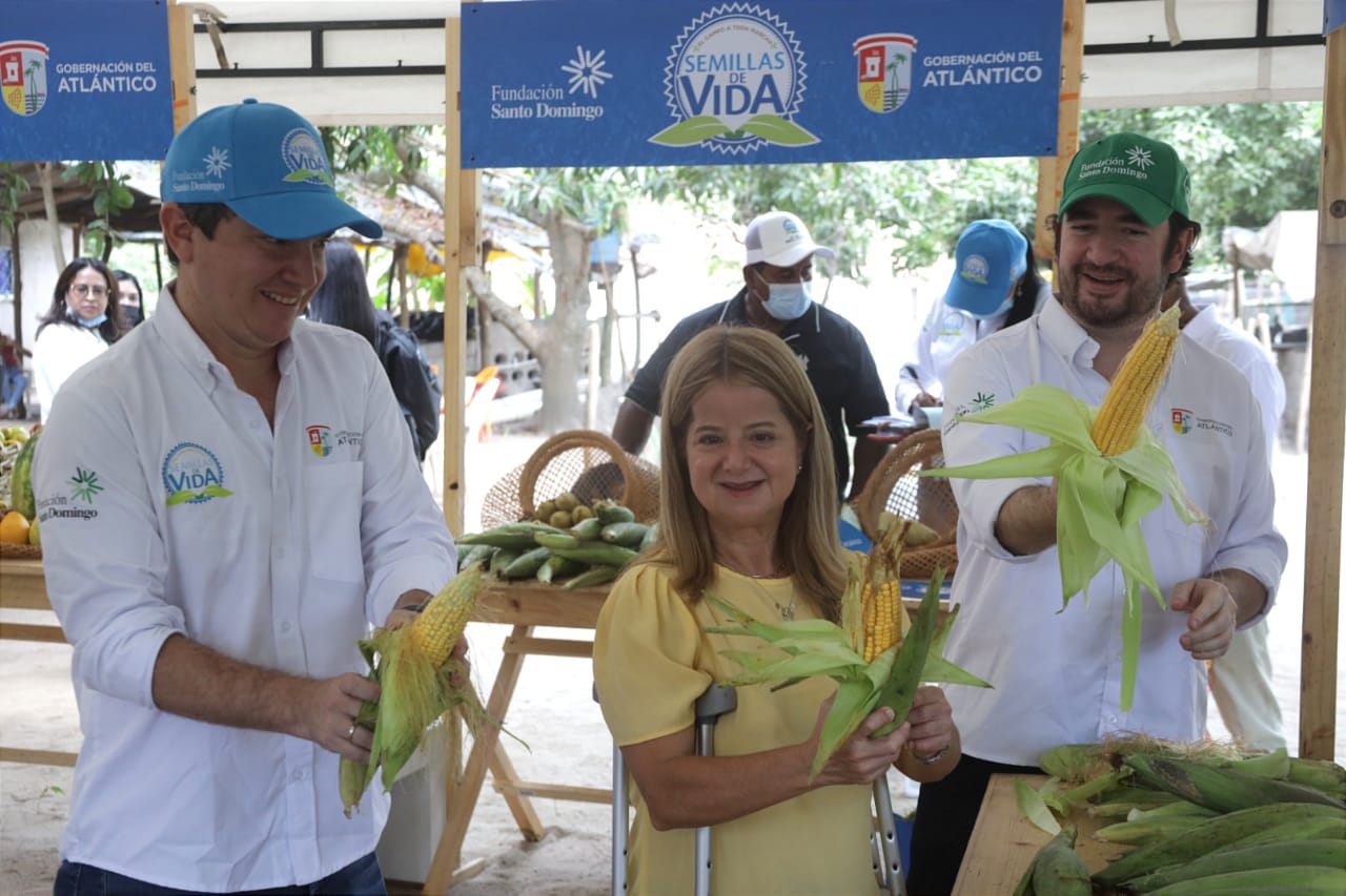 Pequeños agricultores podrán garantizar la venta de sus productos y su seguridad alimentaria»: Elsa Noguera