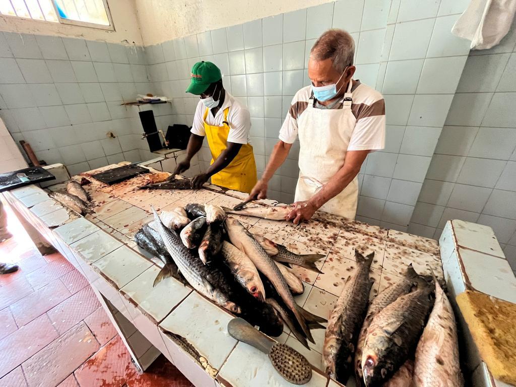 Distrito de Barranquilla intensifica operativos de control de precios para pescados y mariscos