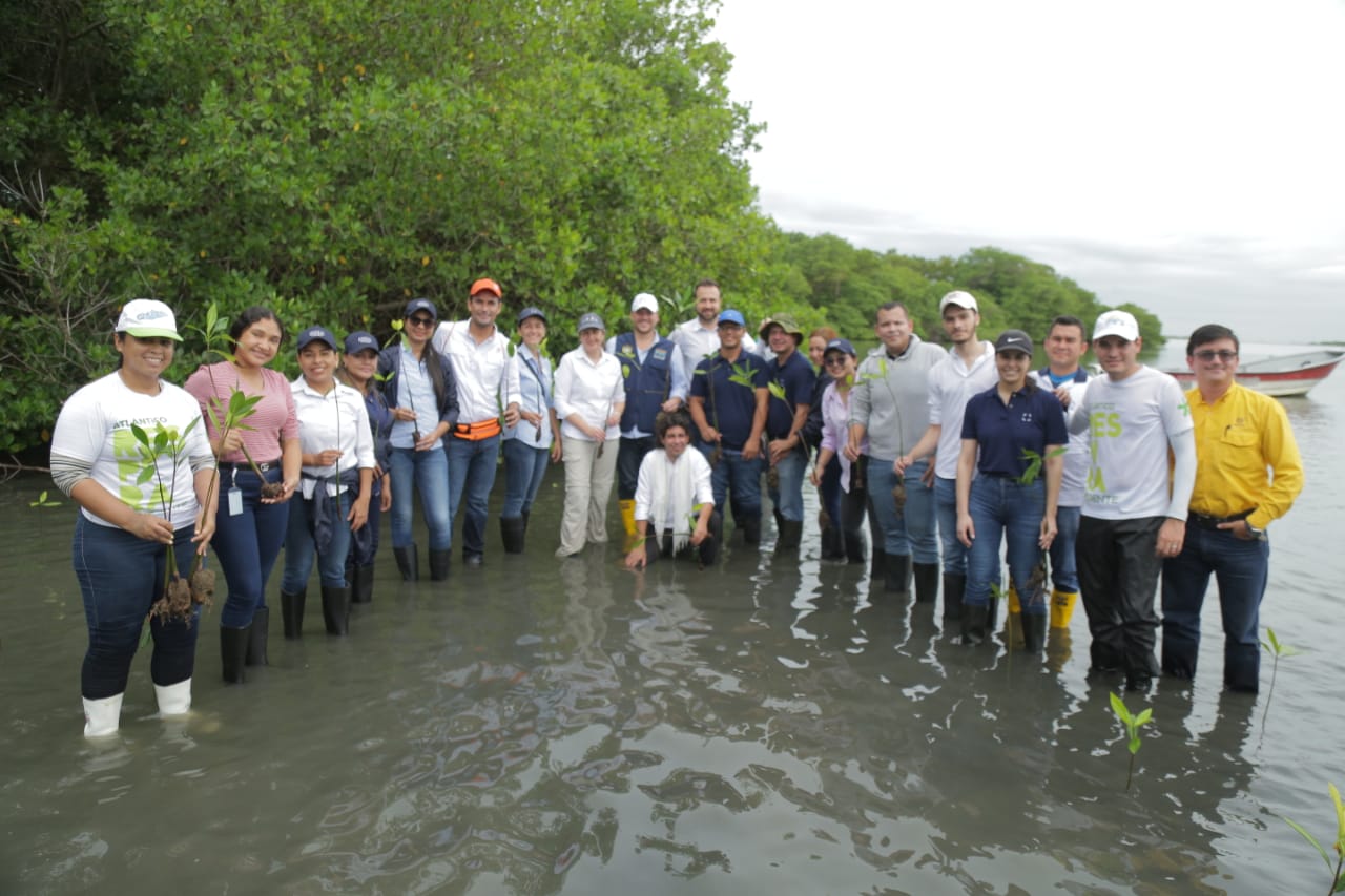 Fundación Grupo Argos impulsa la conservación de este ecosistema clave en Bolívar, Sucre y Atlántico