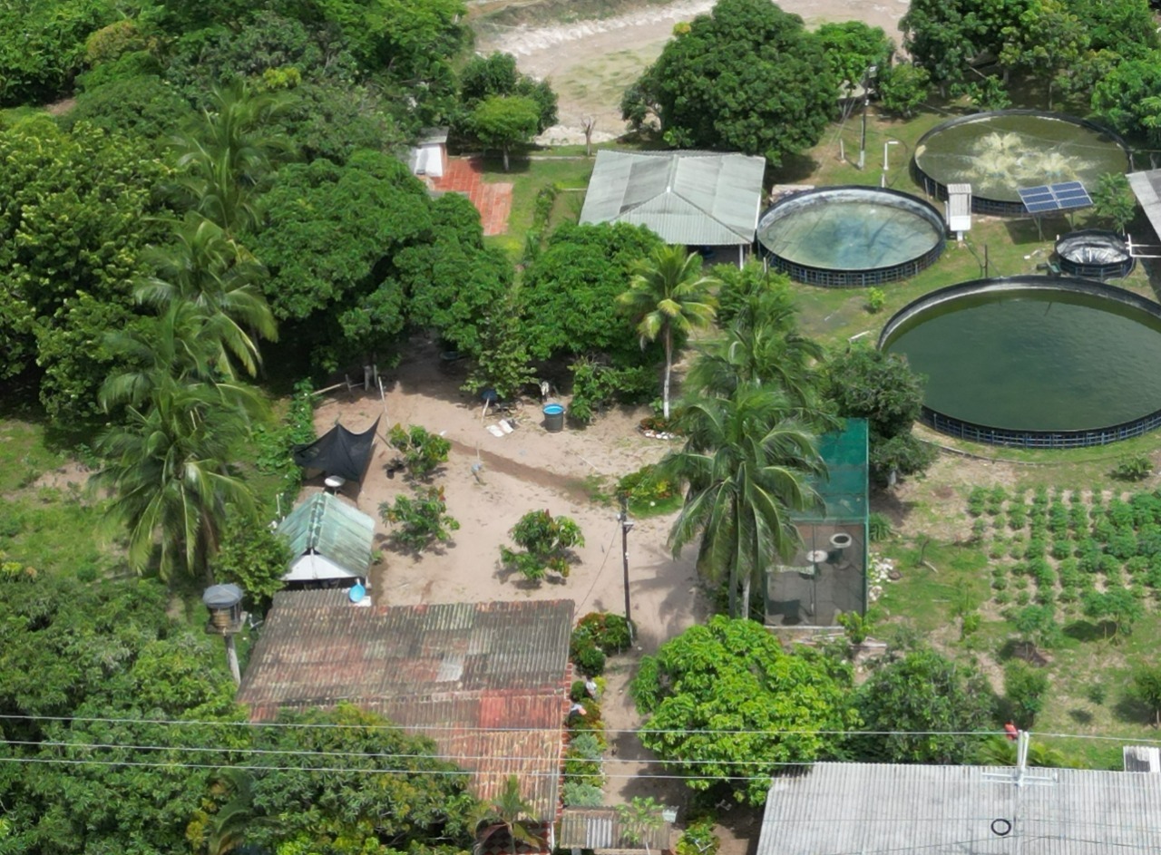 Con luz robada operaban estanques piscícolas en Baranoa – @Aire_Energia