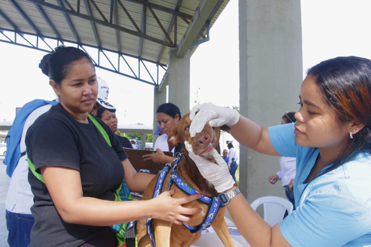 En el Día Mundial contra la Rabia, Secretaría de Salud del Atlántico realizó jornada de bienestar animal en Malambo