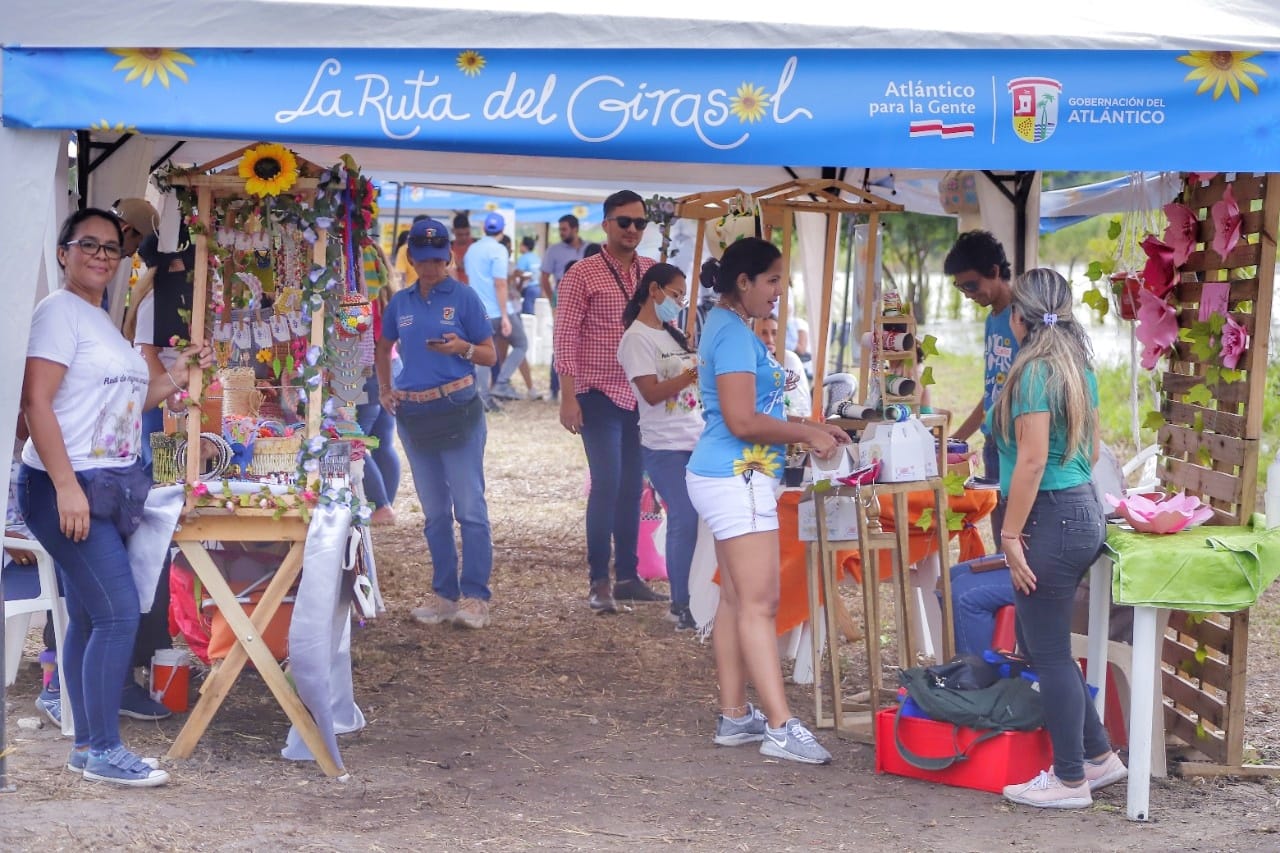 Con Ruta del Girasol y Feria del Libro, Santo Tomás celebra sus fiestas patronales sin corralejas