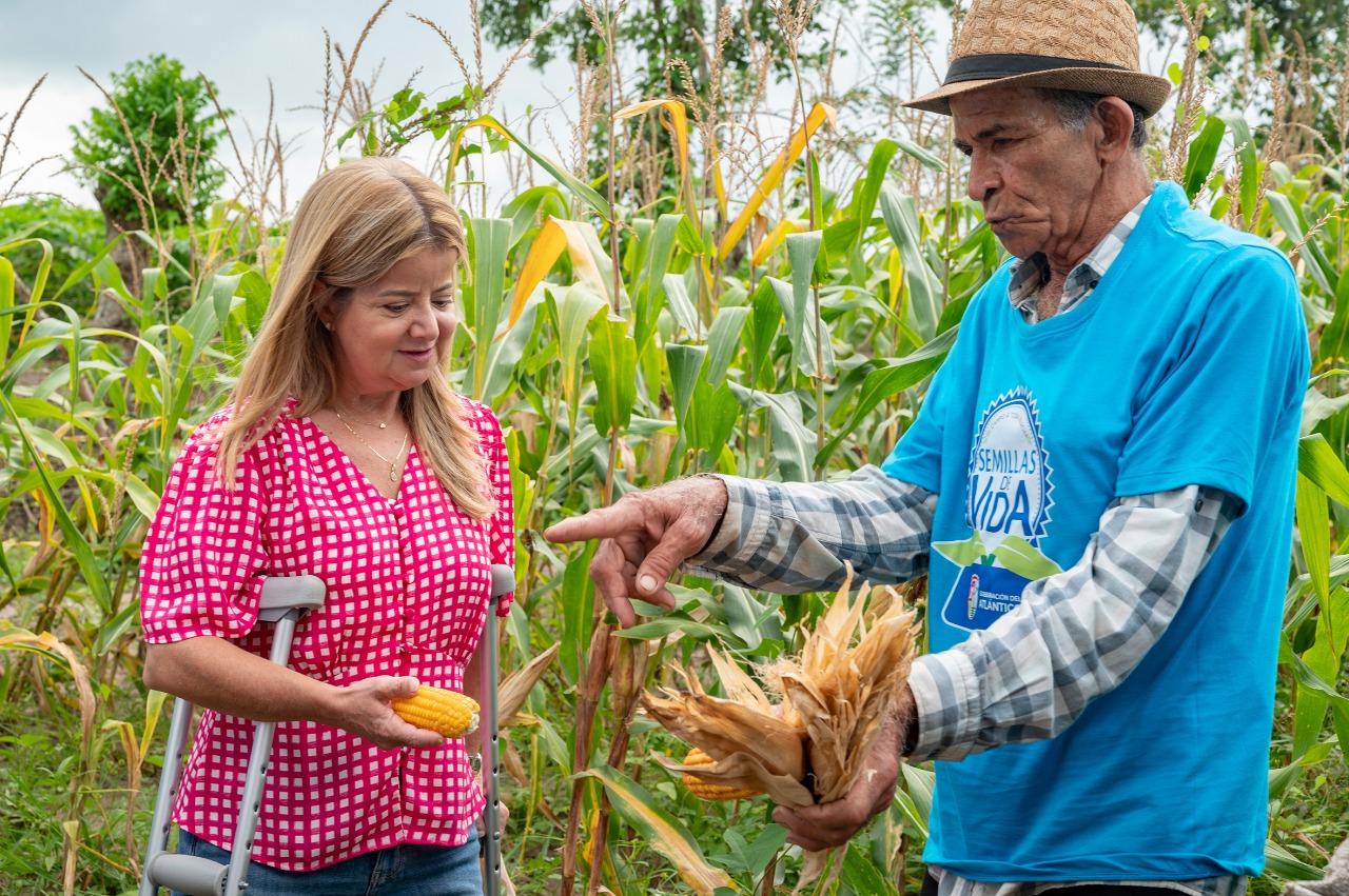 Con la versión 2022 de ‘Semillas de Vida’, 1.650 campesinos del Atlántico tienen seguridad alimentaria y están generando ingresos