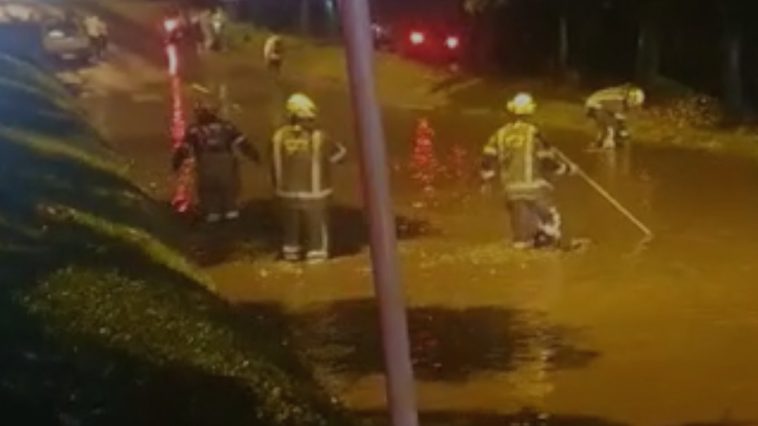 Bomberos Medellín atienden a esta hora diferentes emergencias por las lluvias
