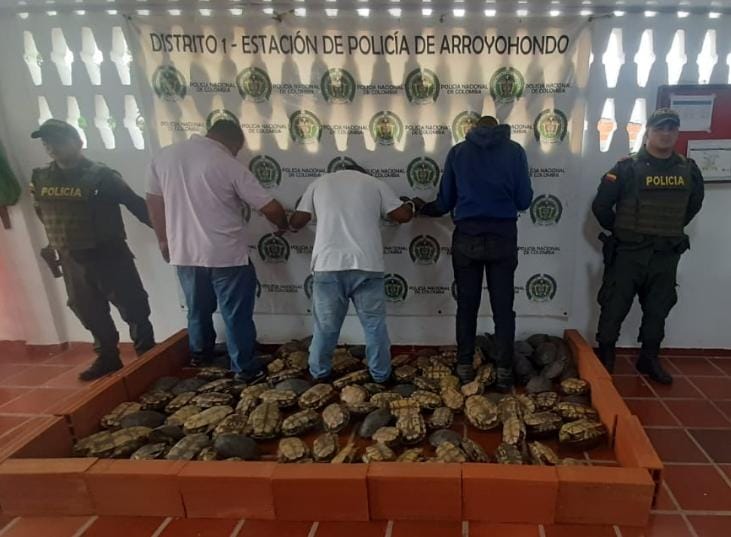31 Capturados han dejado operativos de la Policía contra la caza indiscriminada de hicoteas en Bolívar