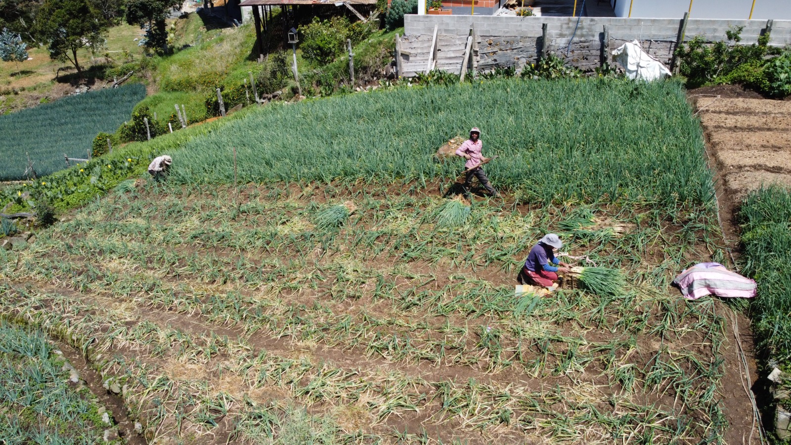 Medellín impulsa la capacitación en agroecología para promover una agricultura sostenible