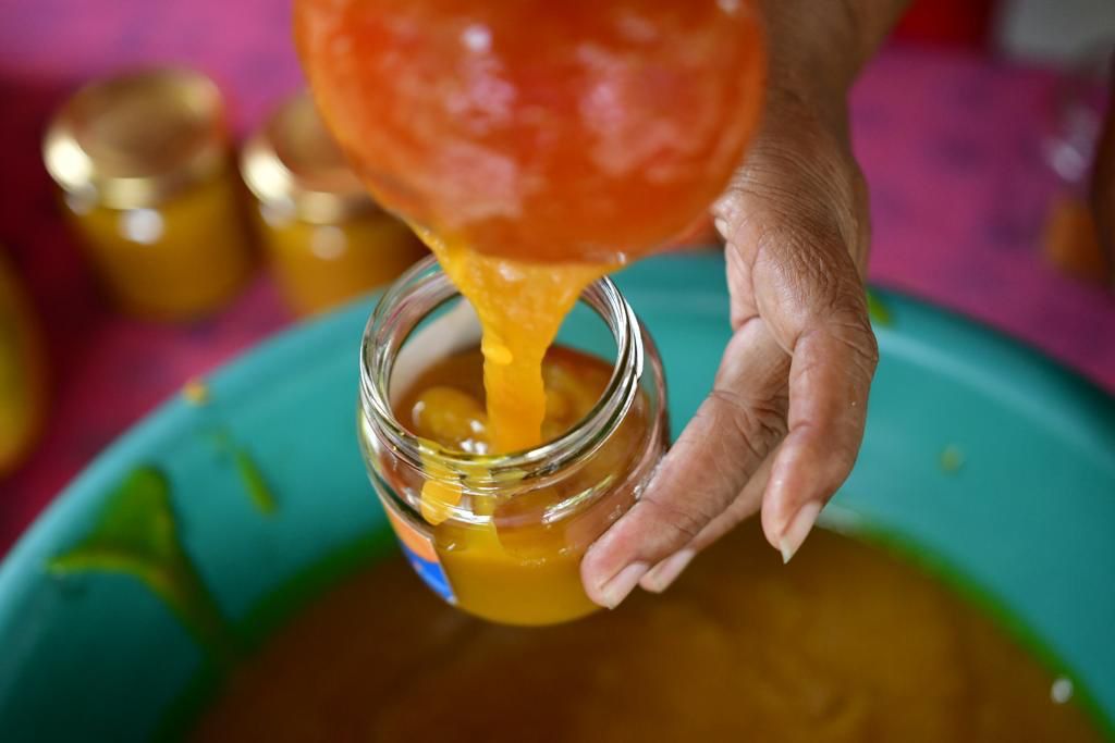 Sazón Atlántico celebra el 26° Festival del Mango en Pendales, Luruaco
