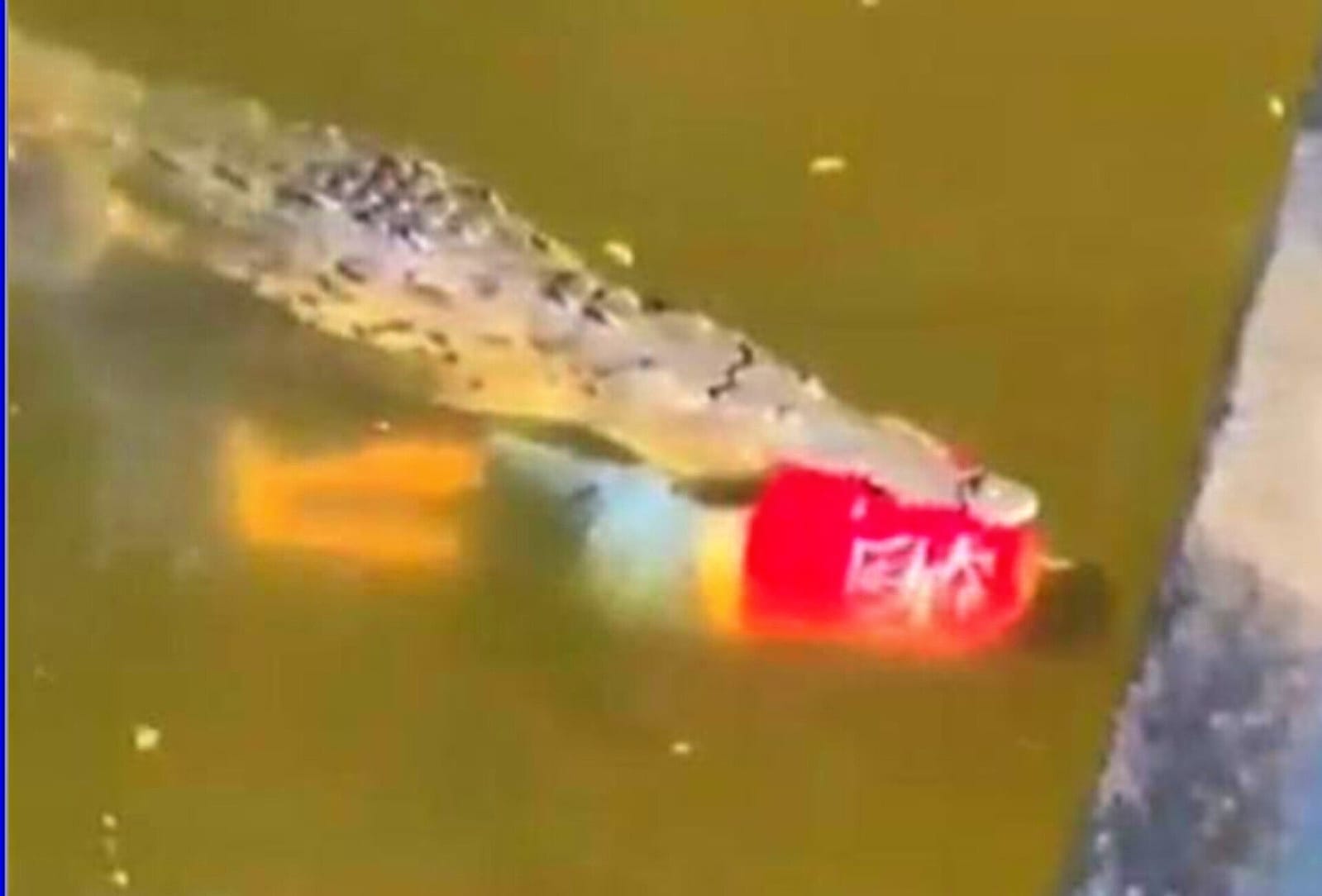Muere un futbolista devorado por un cocodrilo en un río