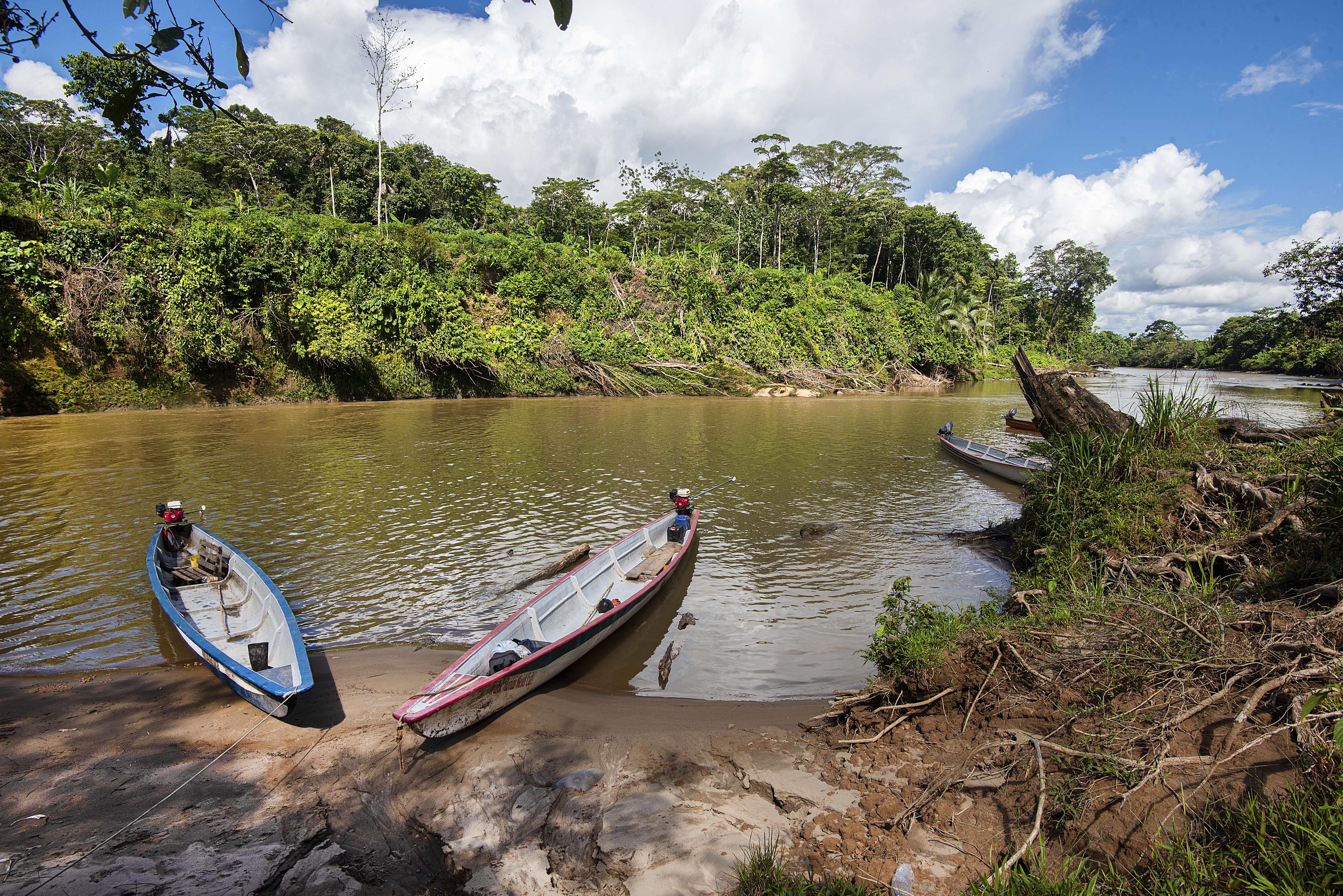 Cumbre Amazónica espera un compromiso coordinado de los países para la conservación del bioma y el desarrollo sostenible