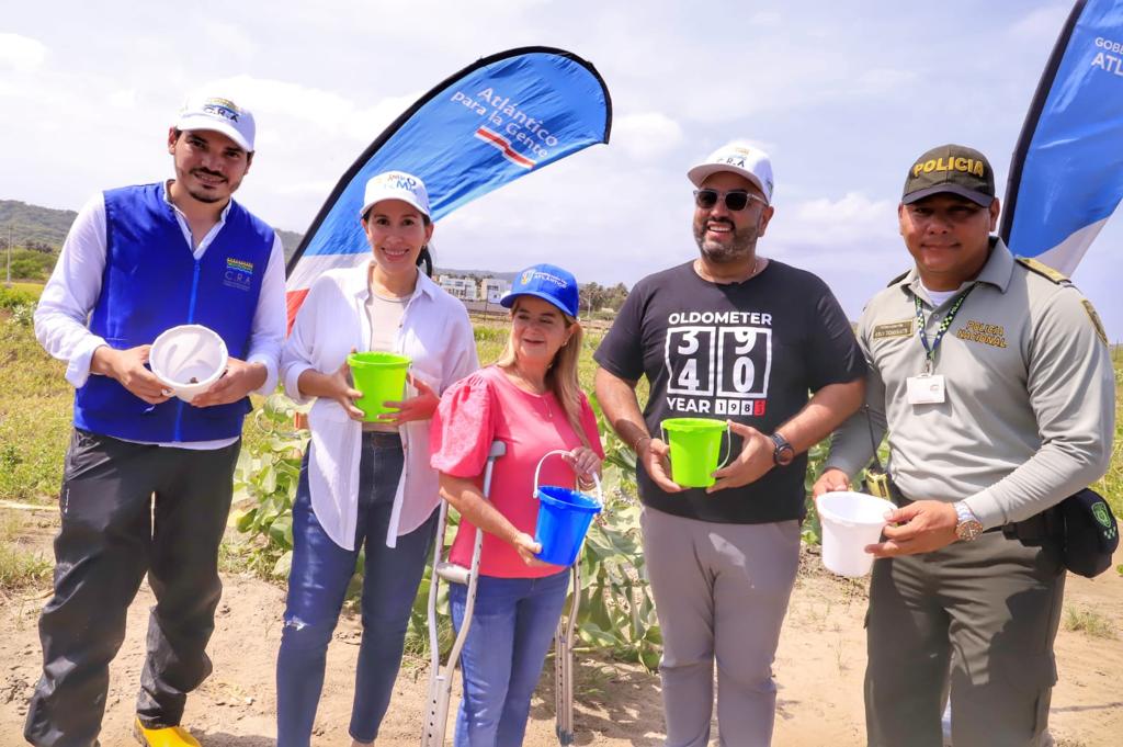 Gobernadora del Atlántico inició siembra de mangle en Salinas del Rey, para promover la sostenibilidad de la zona costera