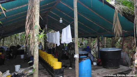 Destruyen seis laboratorios para procesamiento de cocaína del Clan del Golfo en Antioquia