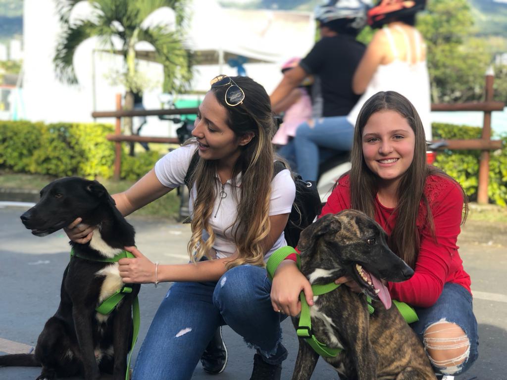 Con programación académica ambiental y actividades de bienestar animal, Medellín celebrará la semana de la ecociudad