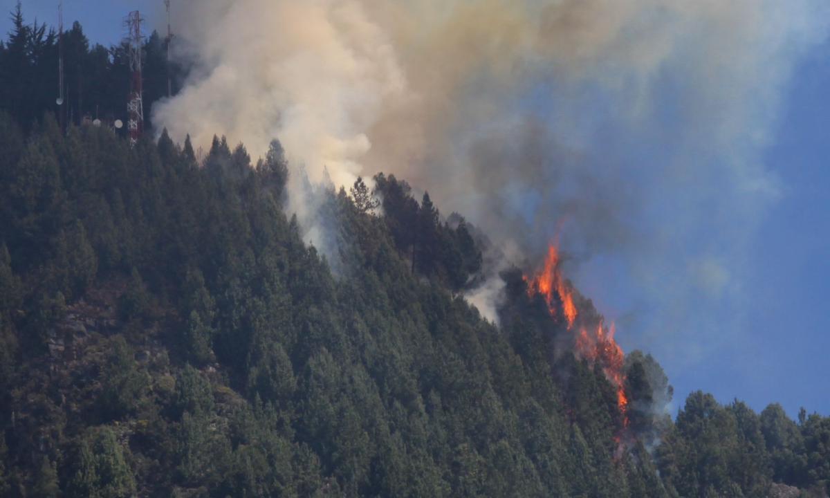 Toma de Acción: Gobierno Anuncia Medidas para Combatir Incendios Forestales