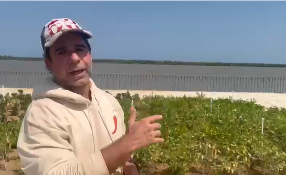 “En pocos días los barranquilleros podrán disfrutar de 3 hectáreas nuevas en el Gran Malecón”: alcalde Alejandro Char