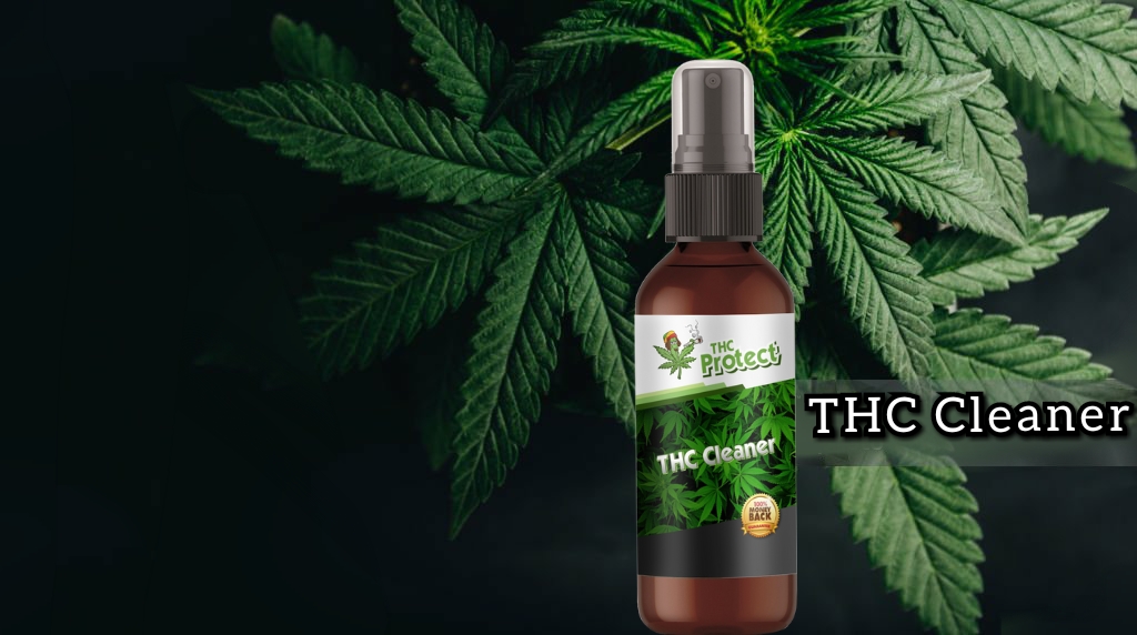 ¡Descubre una solución eficaz para eliminar los olores del cannabis!