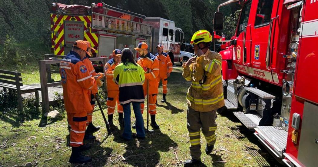 Los bomberos trabajan para extinguir un incendio en los cerros de Bogotá