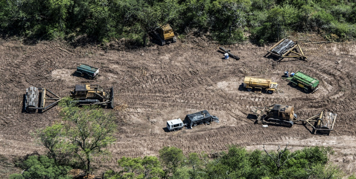 Greenpeace denuncia un aumento de deforestación en Argentina