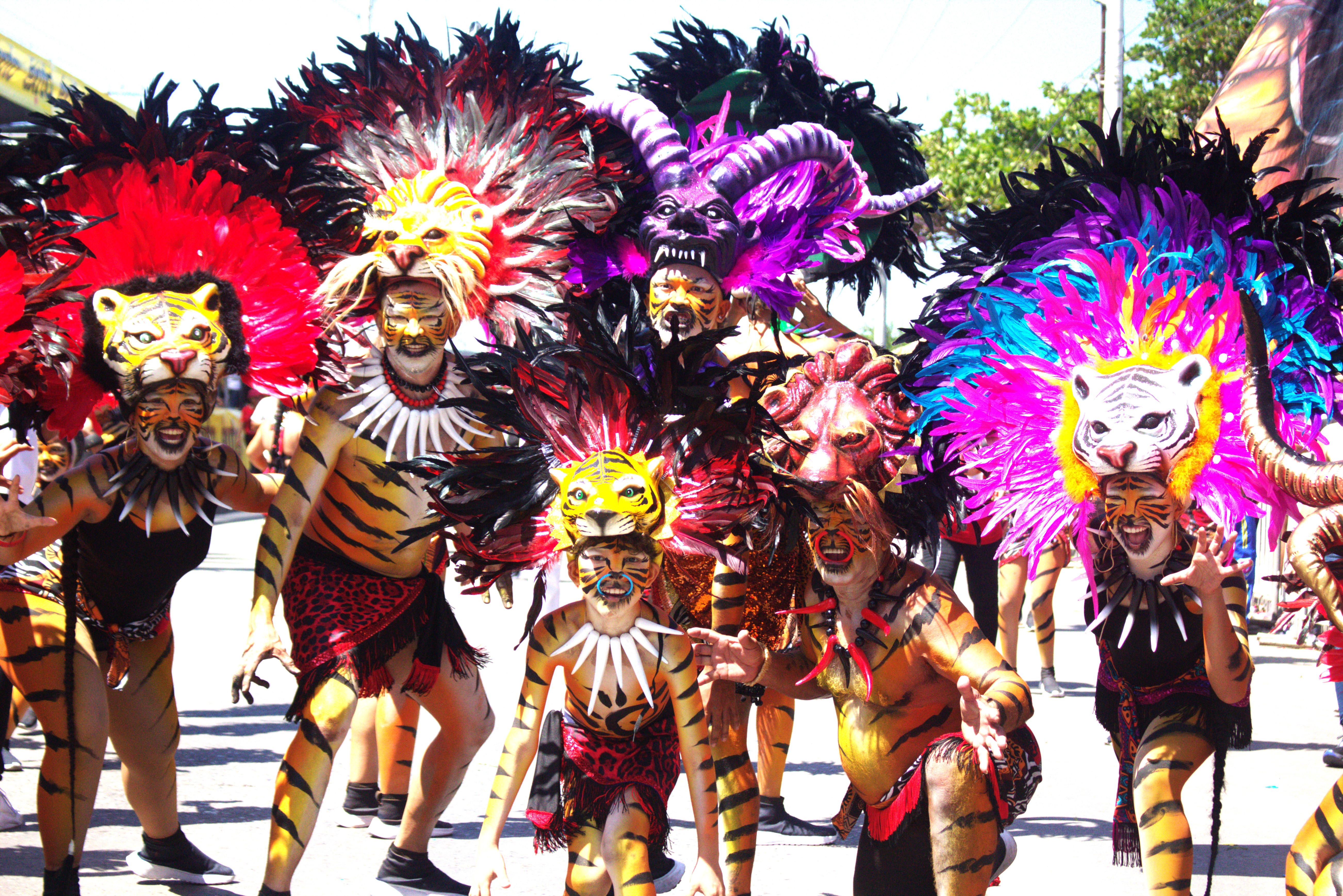 Carnaval 2024, el mejor de los últimos tiempos: organización, tradición y sostenibilidad, marcaron el éxito