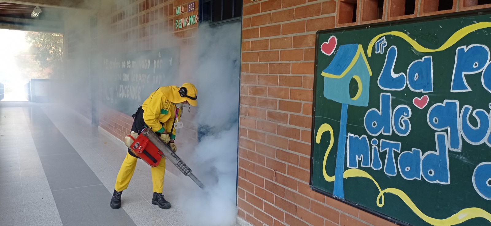 La Alcaldía de Medellín hace recomendaciones para prevenir el dengue