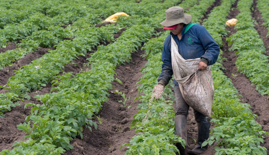 Reforma laboral: eliminan artículos sobre jornal y contrato agropecuario