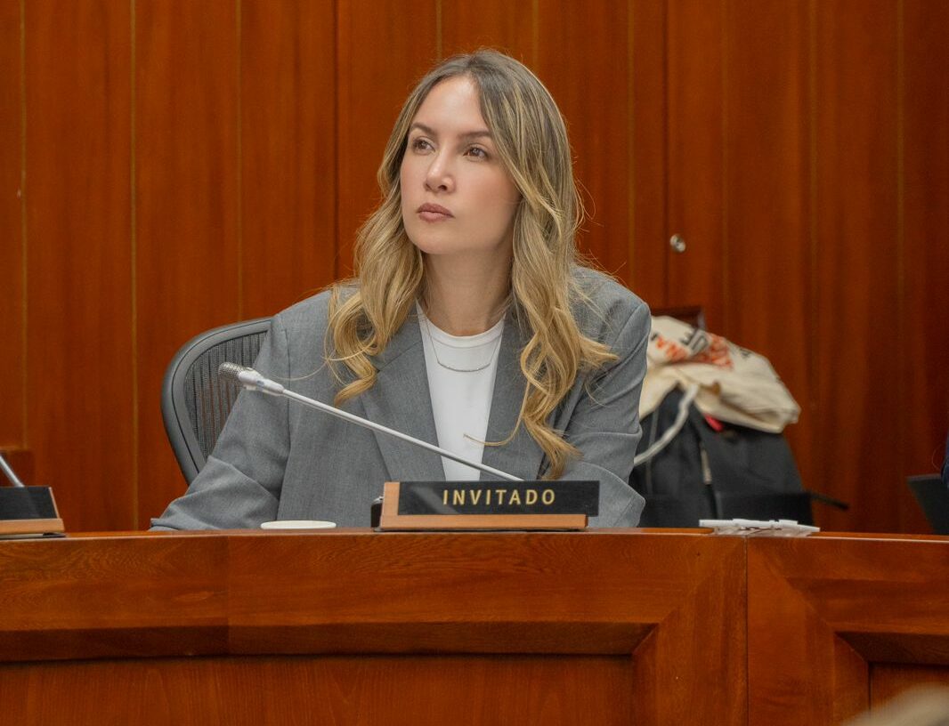 Senadora Ana María Castañeda, nueva Segunda Vicepresidenta del Senado
